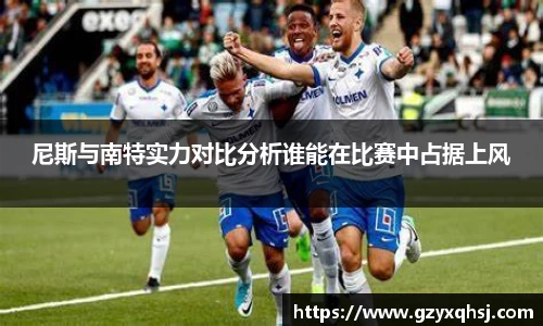 尼斯与南特实力对比分析谁能在比赛中占据上风